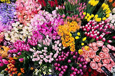 B站2023高能电玩节高能来袭！游戏特惠折扣节同期开启 