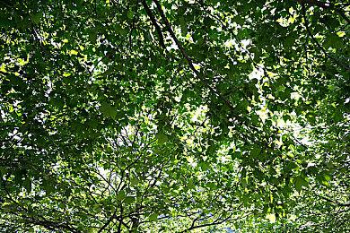 《影之刃零》制作人详解Boss设计：突破类魂框架 融入格斗游戏AI机制